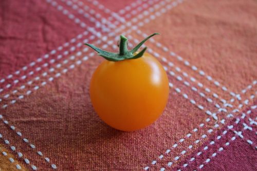 tomato red orange