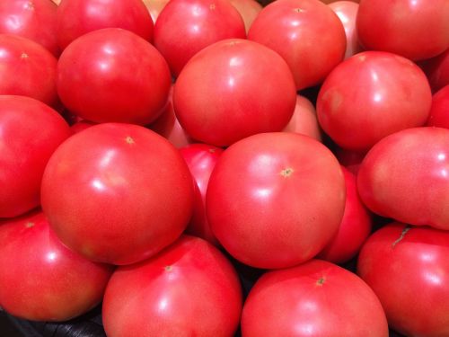 tomato display red
