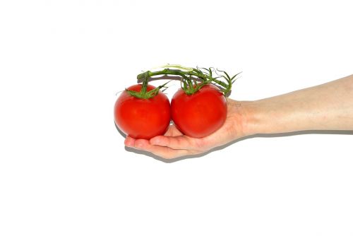 tomato the hand hands