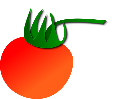 tomato red fruit