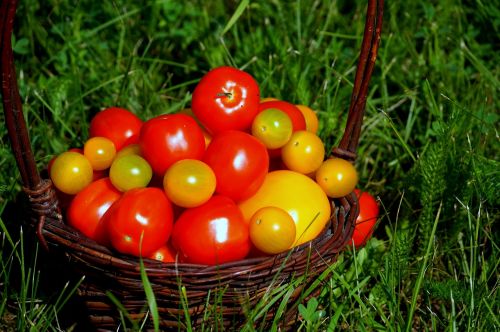 tomatoes food vitamins