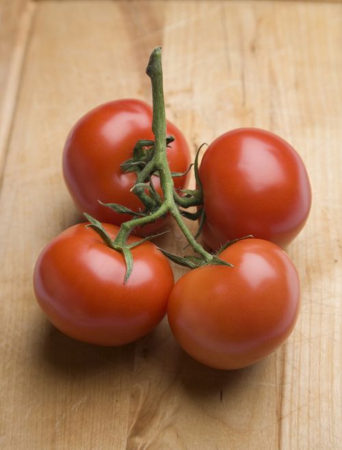tomato red bush tomato
