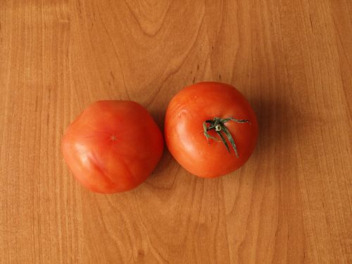 tomato a vegetable eating