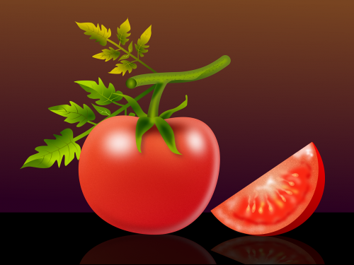 tomato fruit solanum lycopersicum