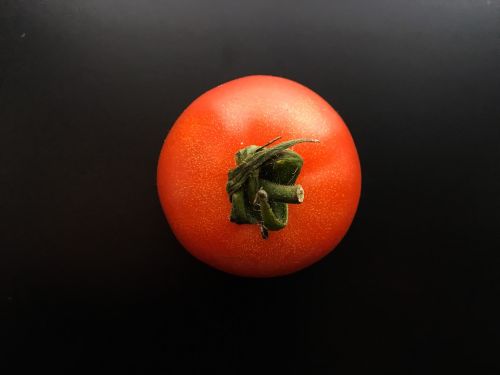 tomato vegetable fruit
