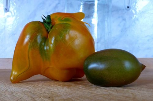 tomato strange yellow