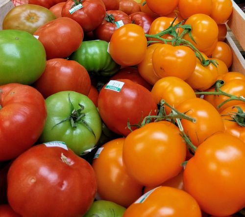 tomato heirloom produce