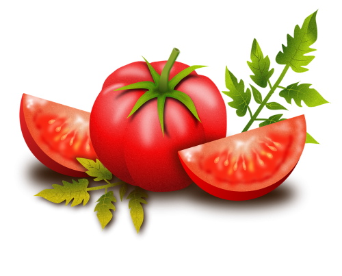 tomato fruits vegetables