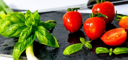tomato plant crops