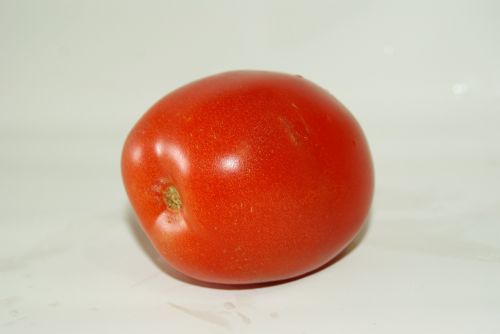 tomato red nature