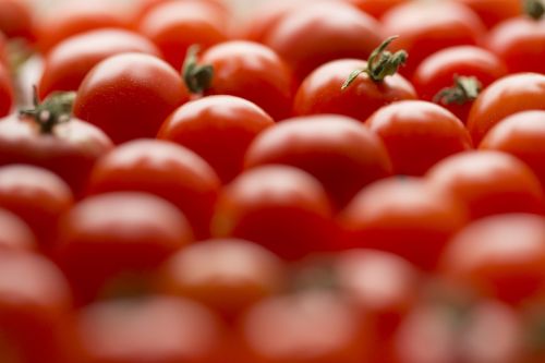 tomato tomatoes vegetable