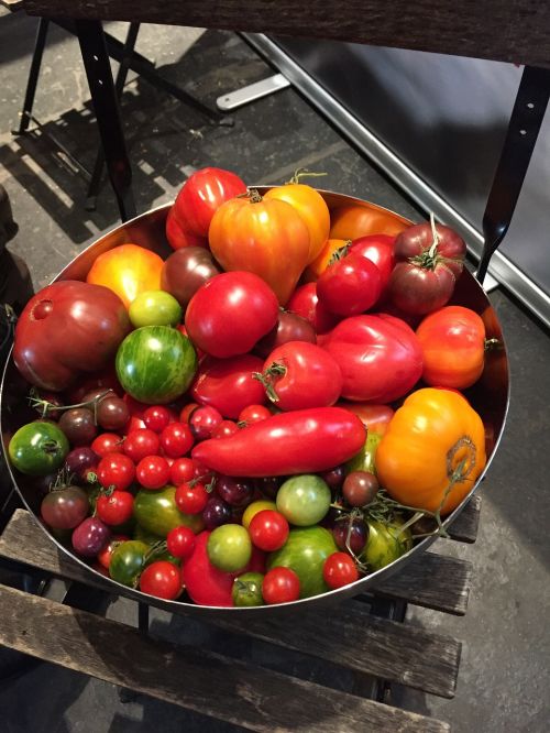 tomato tomatoes vegetables