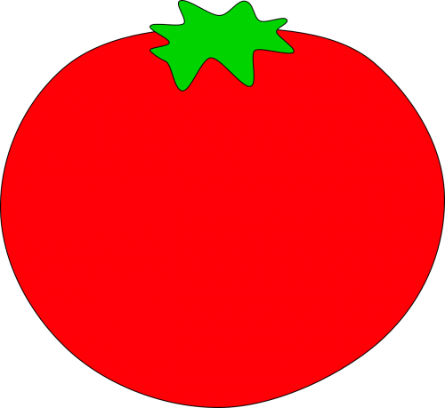 tomato vegetable plant