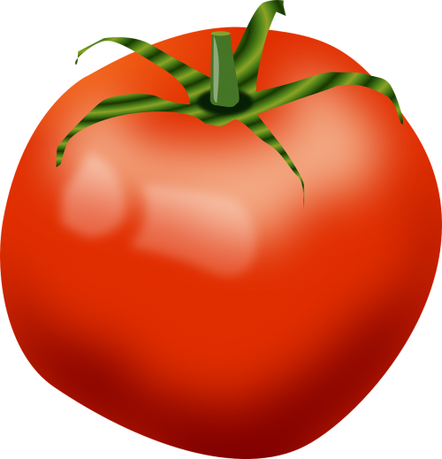tomato red food