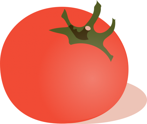 tomato vegetable red