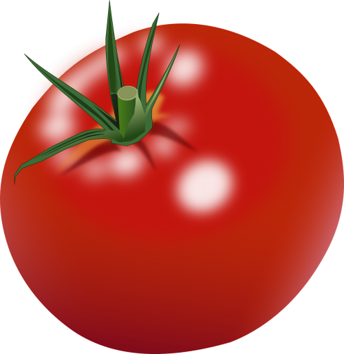 tomato ripe red