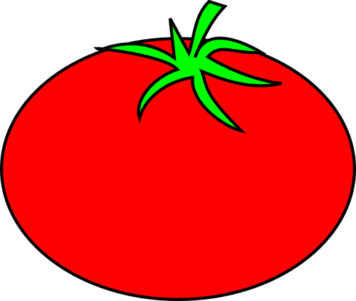 tomato vegetable food