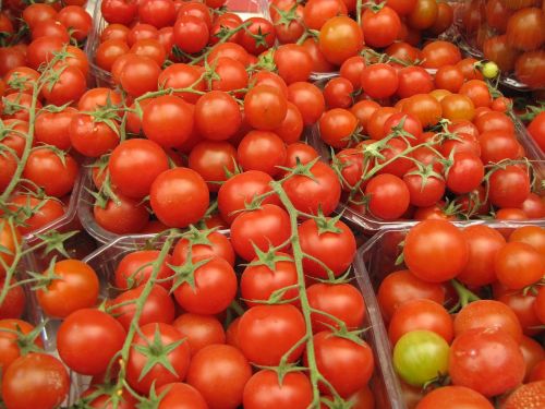 tomato food vegetable