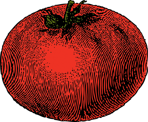 tomato vegetable red