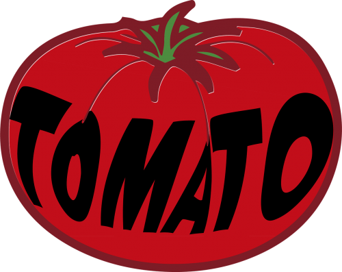 tomato fruit huerta