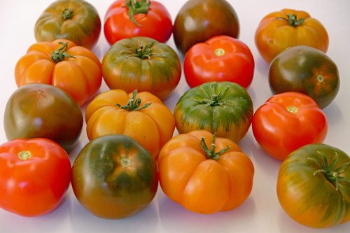 tomato  tomatoes  colorful