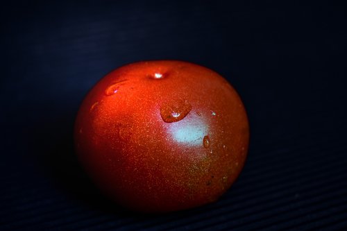 tomato  vegetable  vegetables