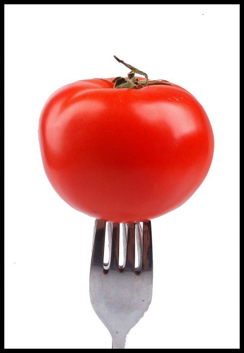 tomato fork tomato red