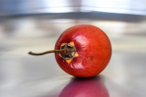 tomato  fruit  healthy