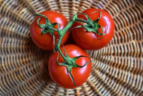 tomato  vegetable  food