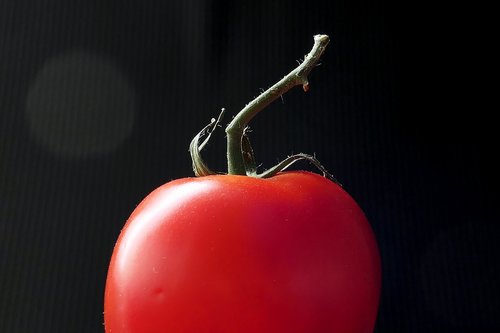tomato  vegetables  food