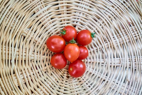 tomato  basket  food
