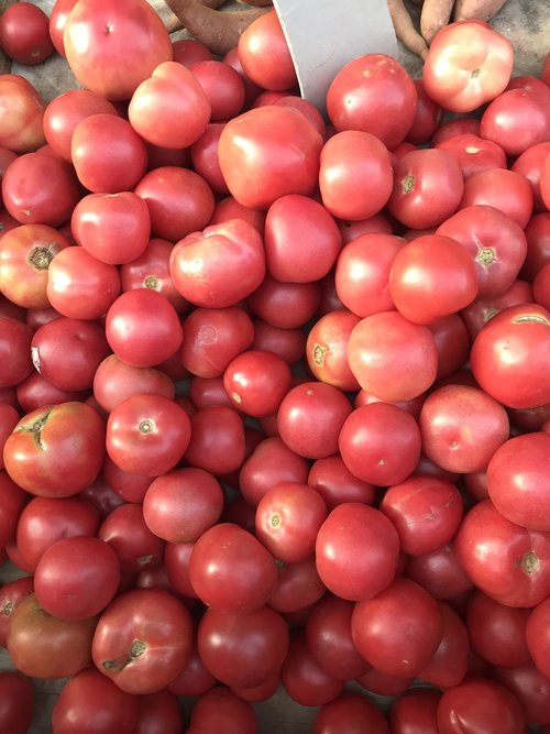 tomato  red  markets