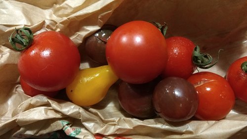tomato  cherry tomatoes  color