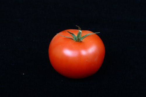 tomato vegetable red