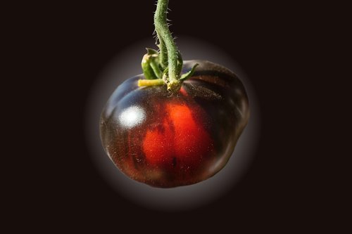 tomato  black tomato  vegetables