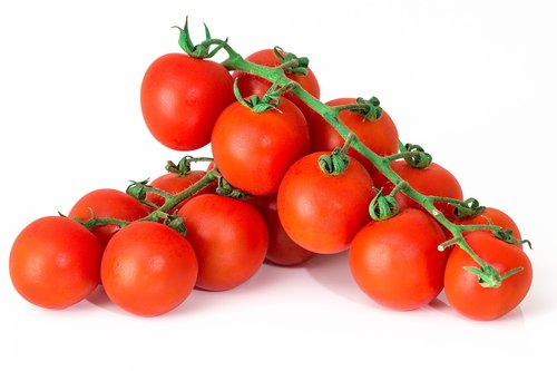 tomato  red  fresh