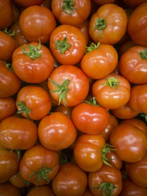 tomato  beautiful  food