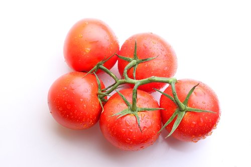 tomato  tomatoes  red