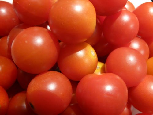 tomato vegetables food