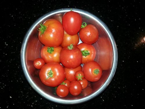 tomato fruit bowl