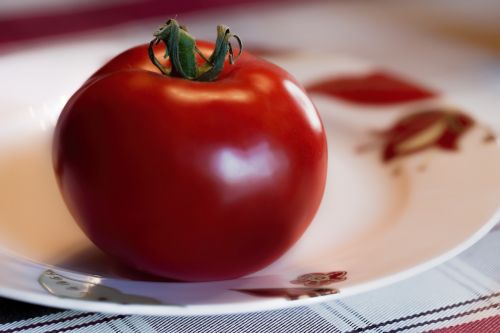 tomato fruit red