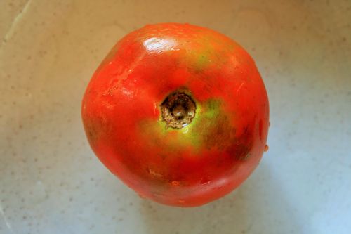 Tomato Upside Down