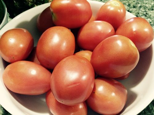 tomatoes fruit vegetable
