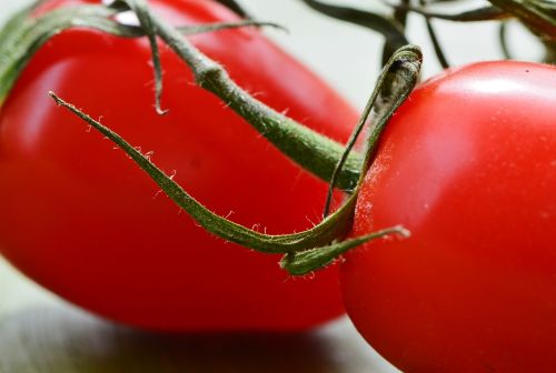 tomatoes vegetables macro