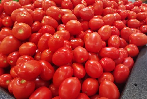 tomatoes roma tomatoes food