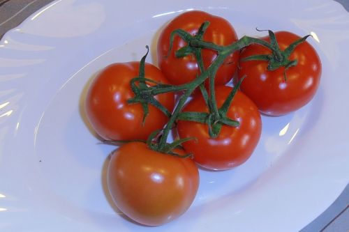 tomatoes bush tomatoes trusses