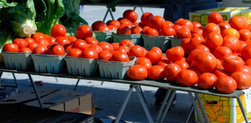 Tomatoes