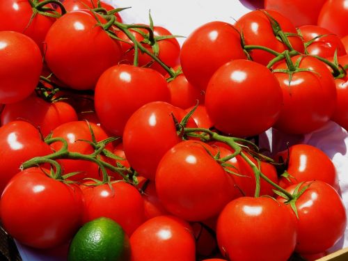 tomatoes market vegetables