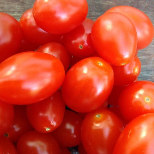 tomatoes red vegetables