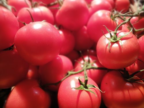 tomatoes food fair